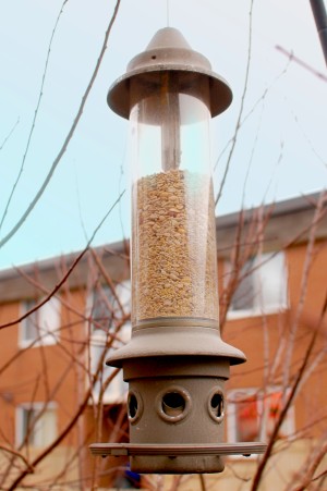 wbu eliminator squirrel proof bird feeder manual